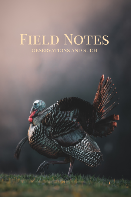 Field Notes